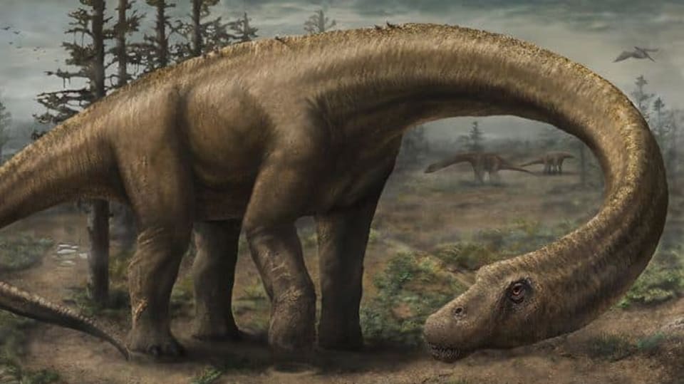 Dreadnoughtus schrani